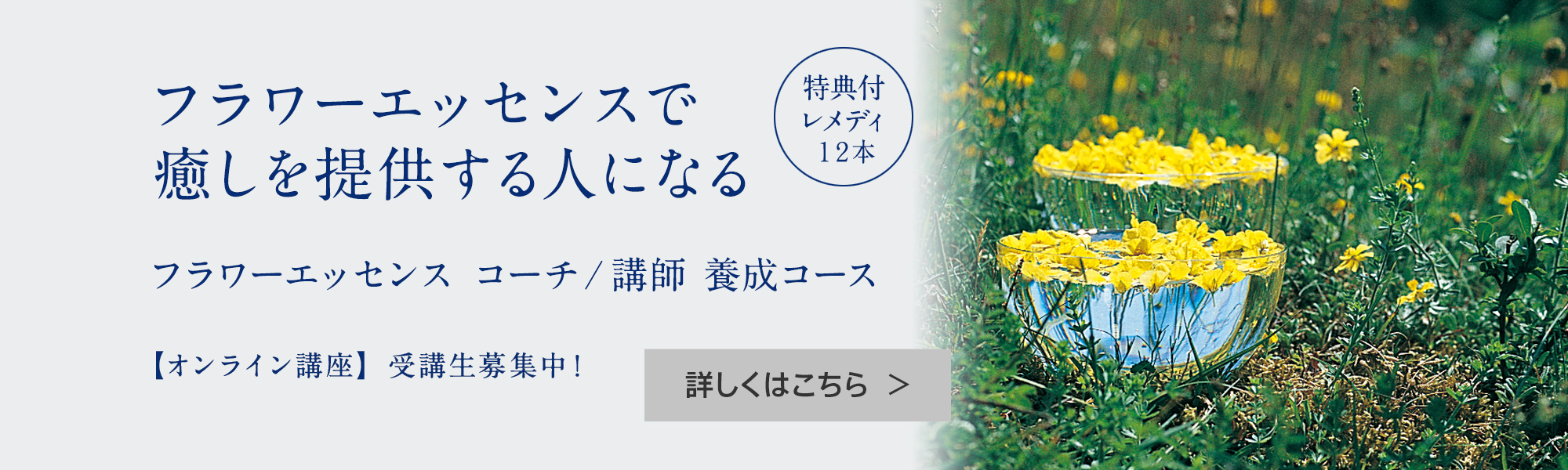 アロマスクール Neal S Yard Remedies