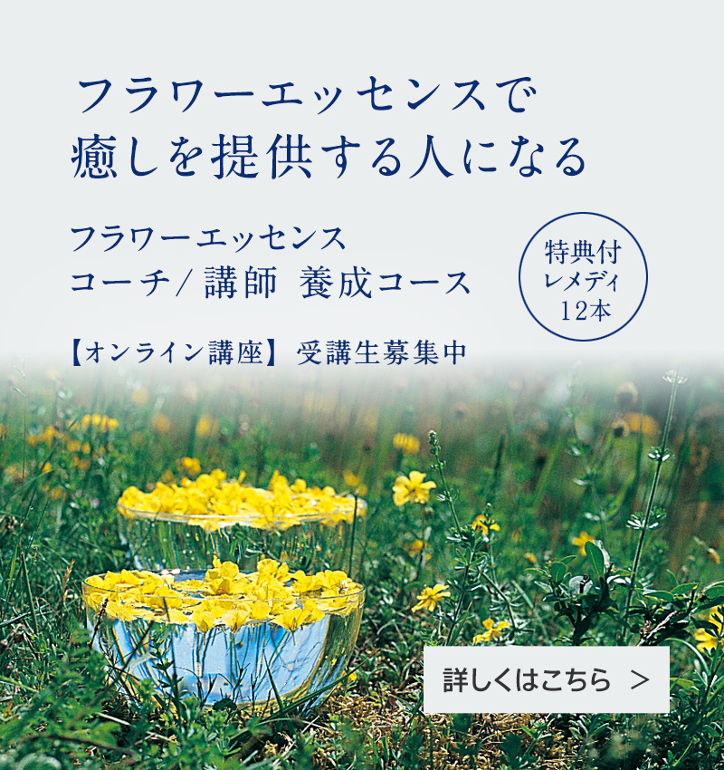 アロマスクール Neal S Yard Remedies