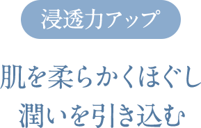 浸透力アップ 肌を柔らかくほぐし潤いを引き込む