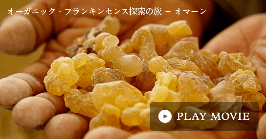 オーガニック・フランキンセンス探索の旅 ? オマーン PLAY MOVIE