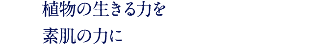 植物の生きる力を 素肌の力に