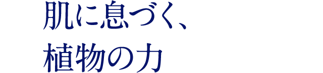 肌に息づく、 植物の力