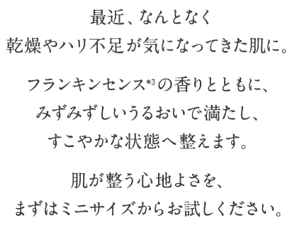 紫外線や冷房による乾燥のほか、汗をかくたびに潤い成分も失われています。人気No.1＊1化粧水で、クリアなハリ艶肌へ。