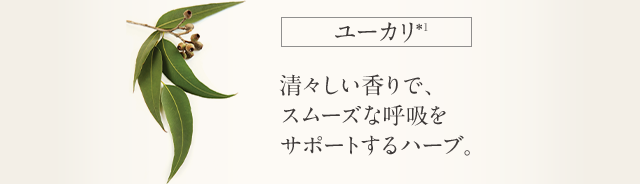 ユーカリ 清々しい香りで、スムーズな呼吸をサポートするハーブ。