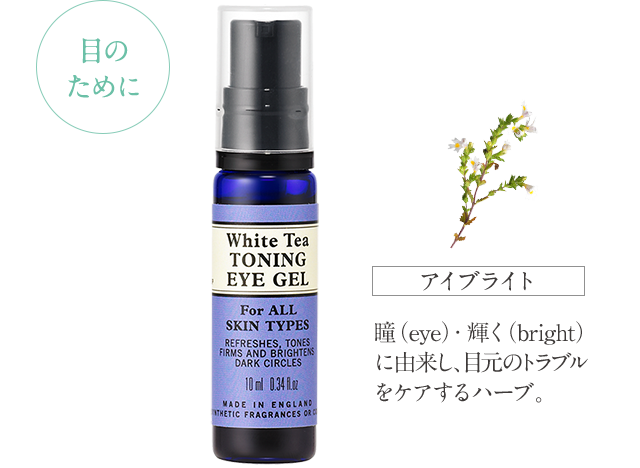 目のために アイブライト 瞳(eye)・輝く(bright)に由来し、目元のトラブルをケアするハーブ。