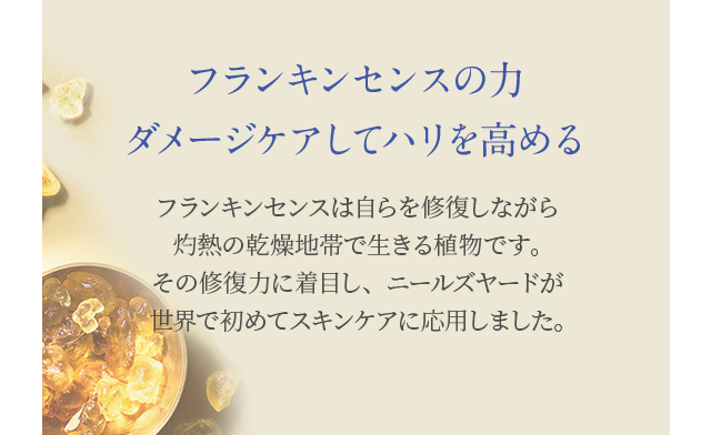 フランキンセンスの力 ダメージケアしてハリを高める フランキンセンスは自らを修復しながら灼熱の乾燥地帯で生きる植物です。その修復力に着目し、ニールズヤードが世界で初めてスキンケアに応用しました。