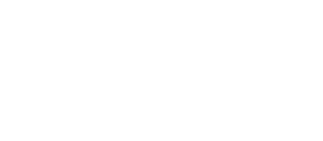 過酷な乾燥や強烈な紫外線から自らを守り、何度も修復する樹木、フランキンセンス。その力に着目したスキンケアシリーズです。ニールズヤードでは絶滅の危機に瀕したフランキンセンスを守るため、今後10年間、毎年5,000本の植樹を行い、サスティナブルな製品づくりに取り組んでいます。