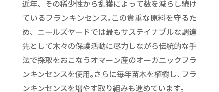 近年、その稀少性から乱獲によって数を減らし続けているフランキンセンス。この貴重な原料を守るため、ニールズヤードでは最もサステイナブルな調達先として木々の保護活動に尽力しながら伝統的な手法で採取をおこなうオマーン産を使用。さらに、毎年5,000本の苗木を植樹し、フランキンセンスを増やす取り組みも進めています。