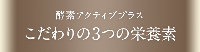 酵素アクティブプラス こだわりの3つの栄養素