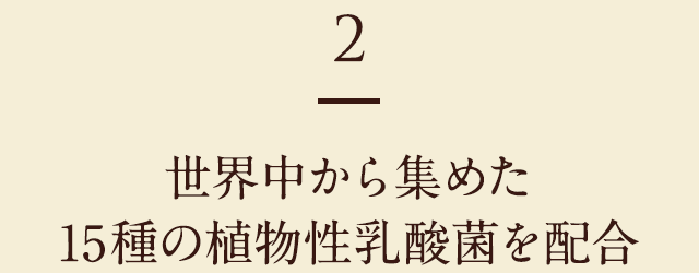 2 世界中から集めた15種の植物性乳酸菌を配合