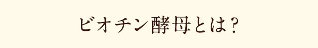 ビオチン酵母とは？