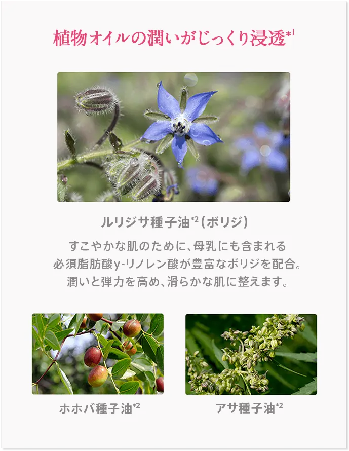 植物オイルの潤いがじっくり浸透
