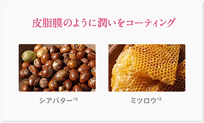 皮脂膜のように潤いをコーティング