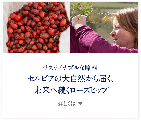 サステイナブルな原料 セルビアの大自然から届く、未来へ続くローズヒップ