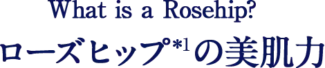 ローズヒップの美肌力