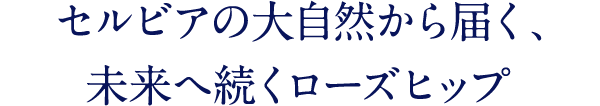セルビアの大自然から届く、未来へ続くローズヒップ