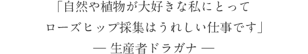 「自然や植物が大好きな私にとって ローズヒップ採集はうれしい仕事です」 ― 生産者ドラガナ ―