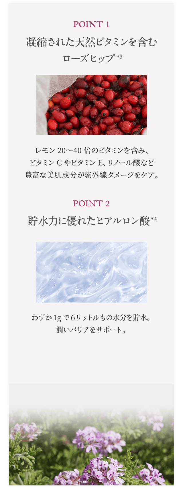 POINT1 凝縮された天然ビタミンを含むローズヒップ POINT2 貯水力に優れたヒアルロン酸＊2