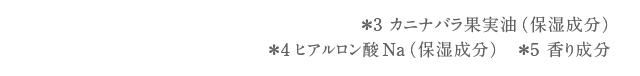 ＊1 カニナバラ果実油（保湿成分） ＊2 ヒアルロン酸Na（保湿成分）　＊3 香り成分