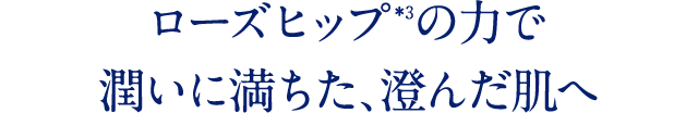 ローズヒップの力で 潤いに満ちた、澄んだ肌へ