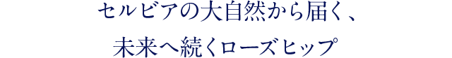 セルビアの大自然から届く、未来へ続くローズヒップ