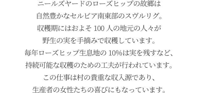 ニールズヤードのローズヒップの故郷は自然豊かなセルビア北部のスヴルリグ。収穫期にはおよそ100人の地元の人々が野生の実を手摘みで収穫しています。毎年ローズヒップ生息地の10％は実を残すなど、持続可能な収穫のための工夫が行われています。この仕事は村の貴重な収入源であり、生産者の女性たちの喜びにもなっています。