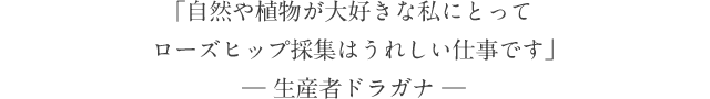 「自然や植物が大好きな私にとってローズヒップ採集はうれしい仕事です」― 生産者ドラガナ ―