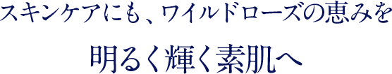 スキンケアにも、ワイルドローズの恵みを明るく輝く素肌へ