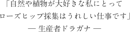 「自然や植物が大好きな私にとってローズヒップ採集はうれしい仕事です」― 生産者ドラガナ ―