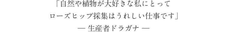 「自然や植物が大好きな私にとってローズヒップ採集はうれしい仕事です」― 生産者ドラガナ ―