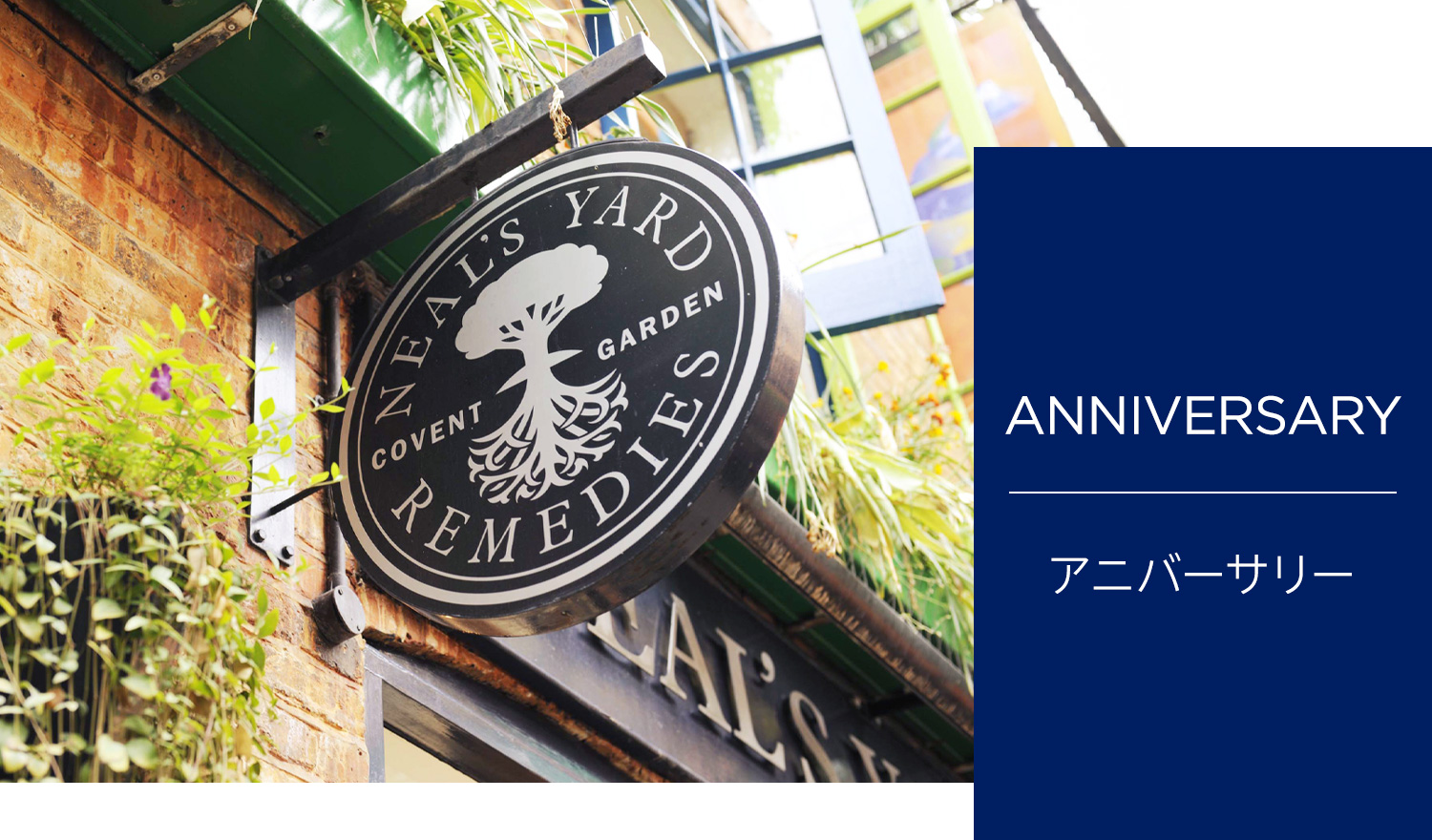 2026 40周年アニバーサリーセット