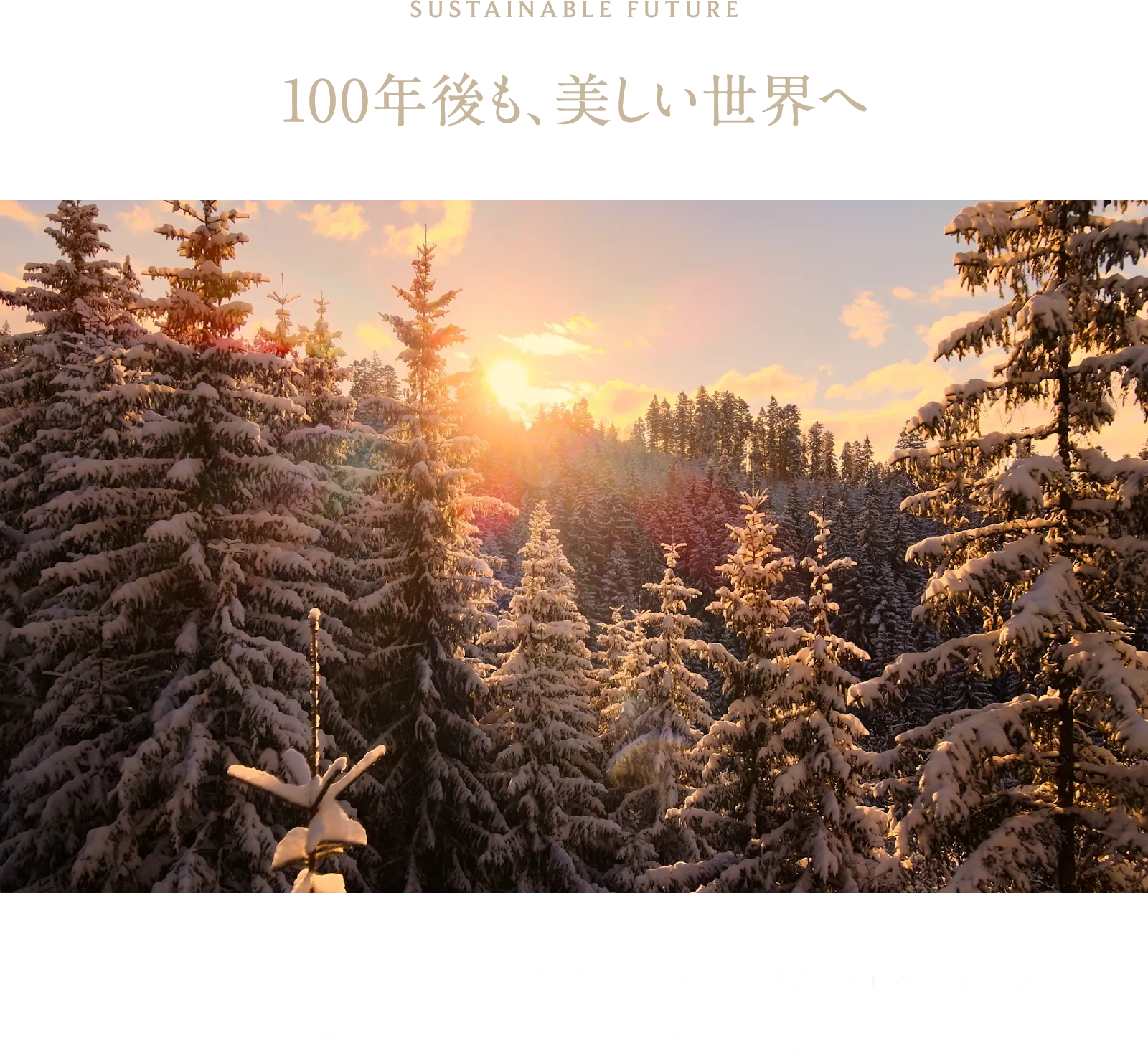 SUSTAINABLE FUTURE 100年後も、美しい世界へ ニールズヤードは創業時から変わらず、人と自然が共生する美しい未来のための製品づくりと、さまざまな環境問題への活動に取り組み続けています。