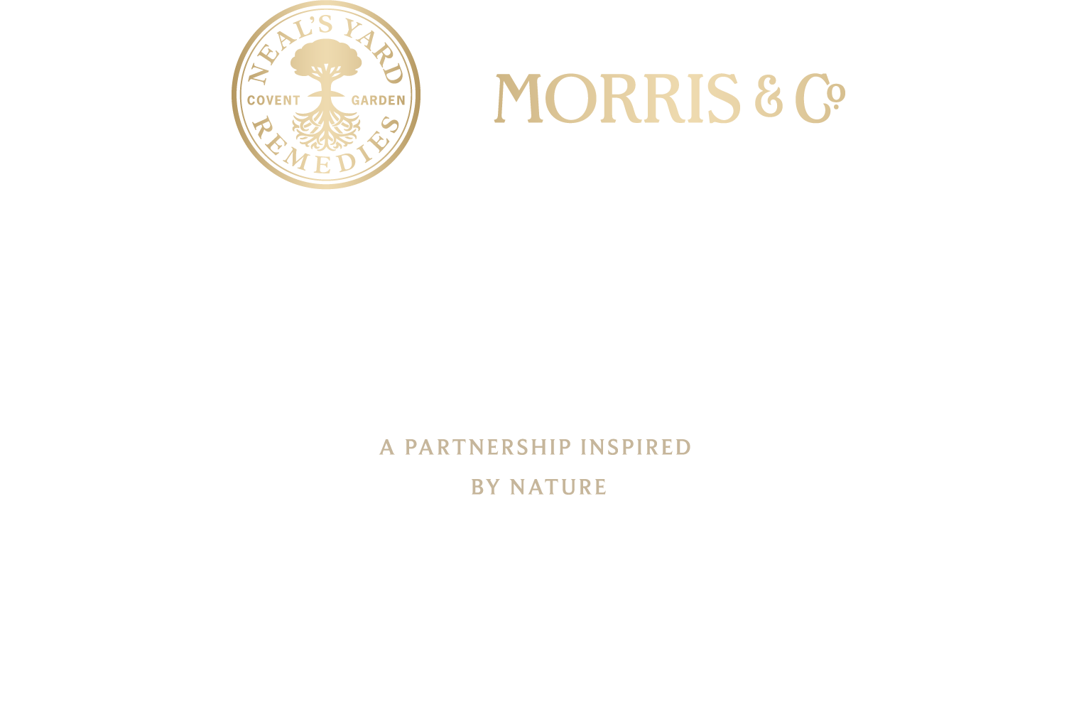 自然によって、インスパイアされたパートナーシップ ニールズヤード Morris&Co.ウィリアム・モリスの信念に賛同し、自然によってインスパイアされた今回のコレクションは、これからも変わらずに生物多様性を守り続けることへの誓いと、野草、花、ハーブなど植物の永遠の美しさへの賛辞を表現しています。