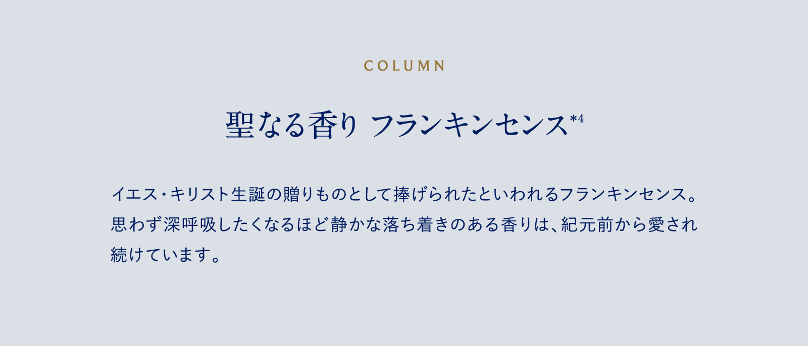 COLUMN 聖なる香り フランキンセンス＊4 イエス・キリスト生誕の贈りものとして捧げられたといわれるフランキンセンス。思わず深呼吸したくなるほど静かな落ち着きのある香りは、紀元前から愛され続けています。