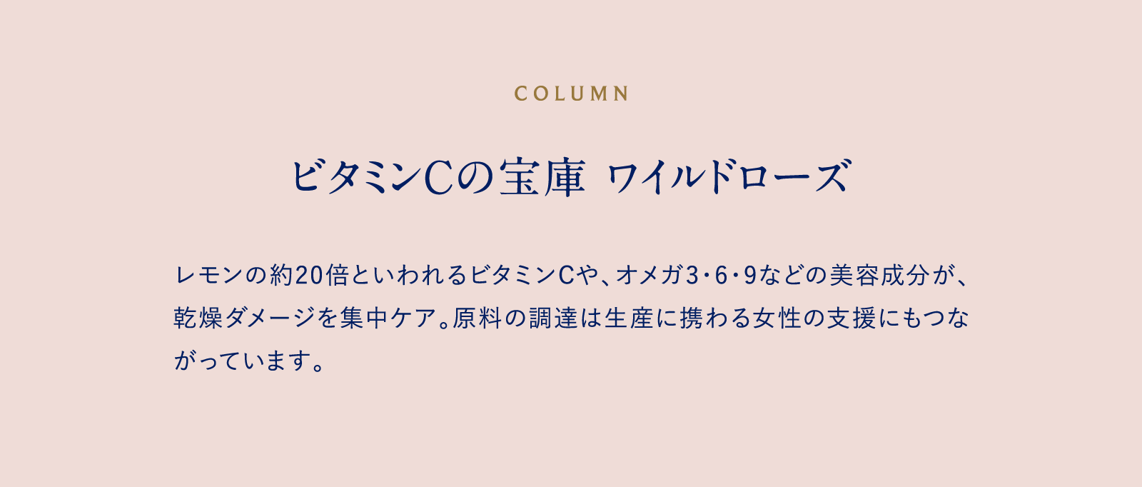 COLUMN ビタミンCの宝庫 ワイルドローズ レモンの約20倍といわれるビタミンCや、オメガ3・6・9などの美容成分が、乾燥ダメージを集中ケア。原料の調達は生産に携わる女性の支援にもつながっています。