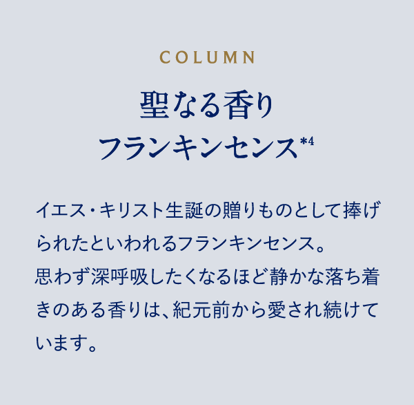 COLUMN 聖なる香り フランキンセンス＊4 イエス・キリスト生誕の贈りものとして捧げられたといわれるフランキンセンス。思わず深呼吸したくなるほど静かな落ち着きのある香りは、紀元前から愛され続けています。