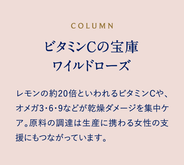 COLUMN ビタミンCの宝庫 ワイルドローズ レモンの約20倍といわれるビタミンCや、オメガ3・6・9などの美容成分が、乾燥ダメージを集中ケア。原料の調達は生産に携わる女性の支援にもつながっています。