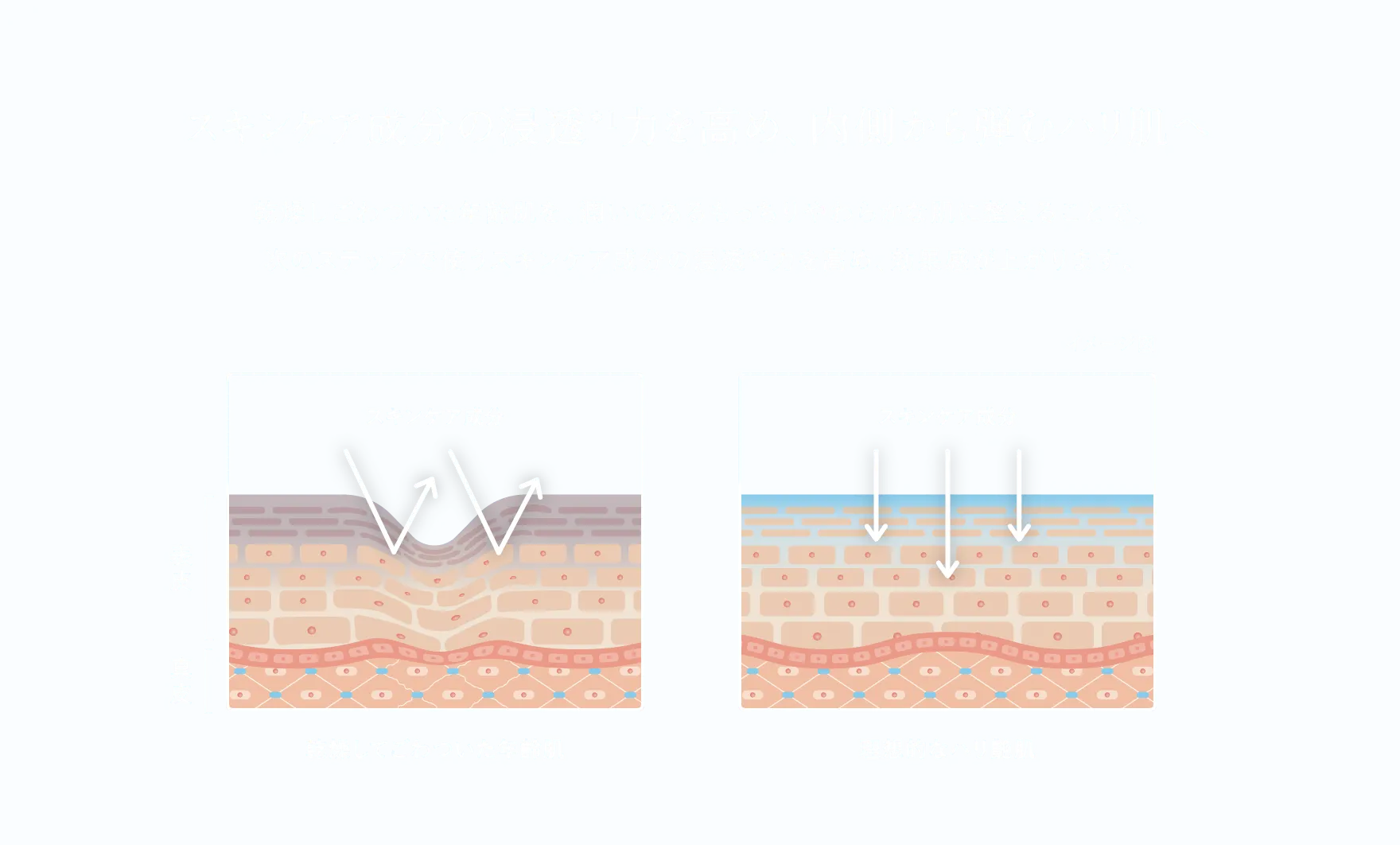 エイジングの新領域へ。待望のプレミアム化粧水誕生。│ニールズ