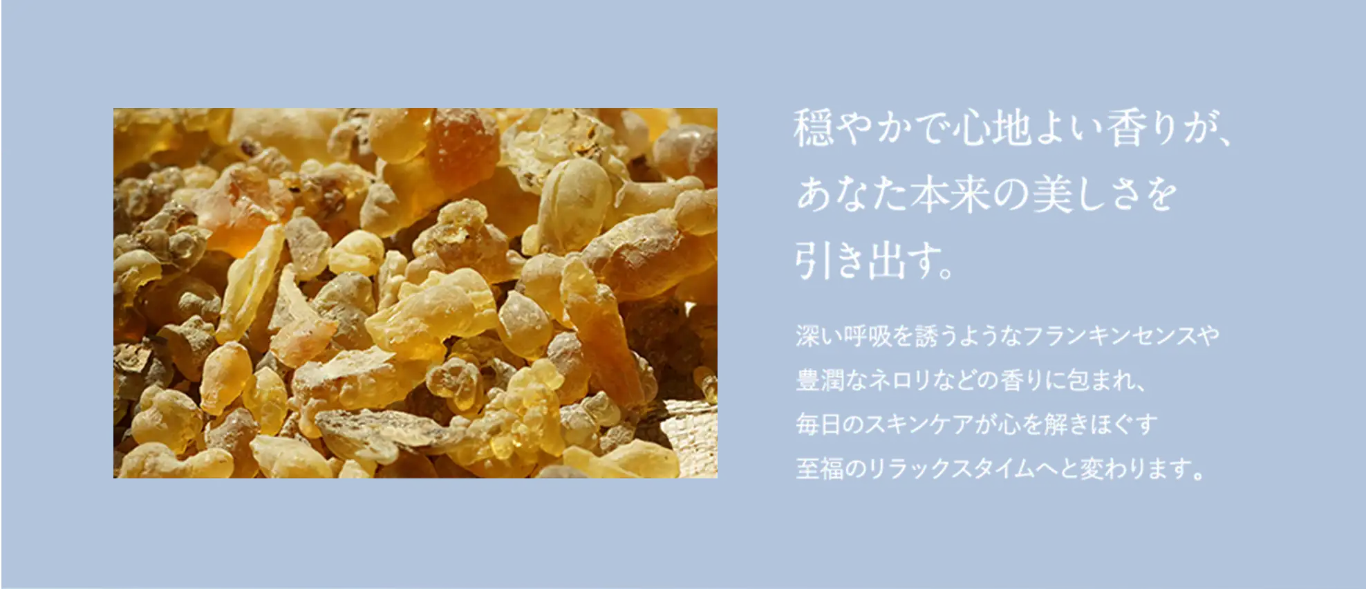 穏やかで心地よい香りが、 あなた本来の美しさを 引き出す。深い呼吸を誘うようなフランキンセンスや豊潤なネロリなどの香りに包まれ、毎日のスキンケアが心を解きほぐす至福のリラックスタイムへと変わります。