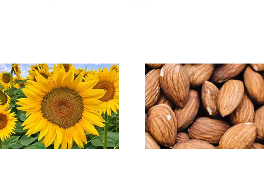 植物オイルは配合成分の70%以上。 肌に潤いヴェールをつくり、つや肌に