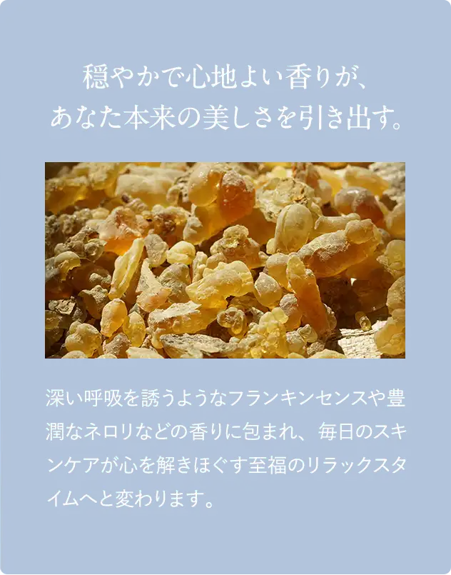 穏やかで心地よい香りが、 あなた本来の美しさを 引き出す。深い呼吸を誘うようなフランキンセンスや豊潤なネロリなどの香りに包まれ、毎日のスキンケアが心を解きほぐす至福のリラックスタイムへと変わります。