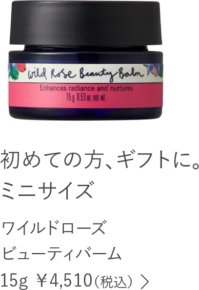 ワイルドローズ ビューティバーム 15g