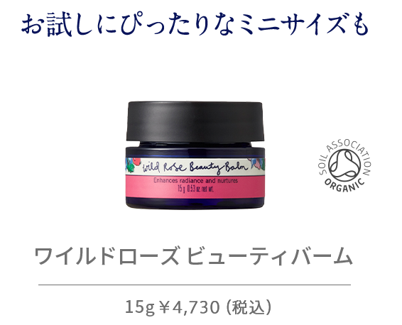 お試しミニサイズ ワイルドローズ ビューティバーム 15g