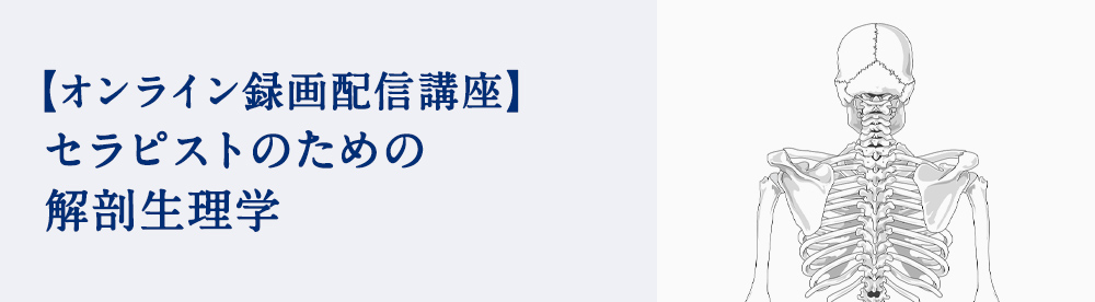 セラピストのための解剖生理学