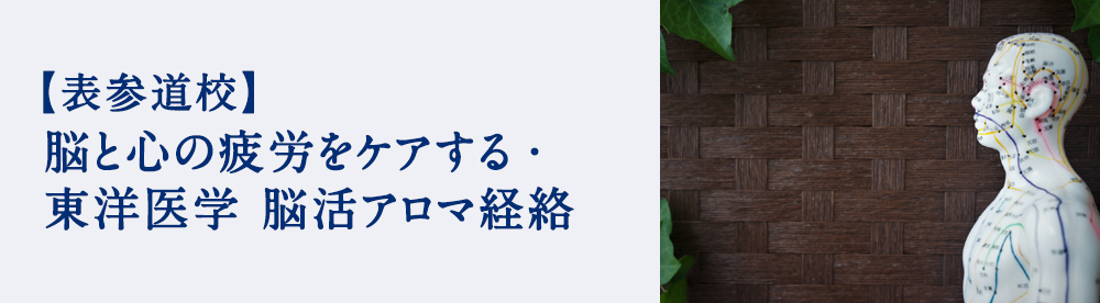 脳と心の疲労をケアする・東洋医学 脳活アロマ経絡