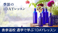 1DAYレッスン