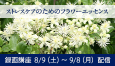 ストレスケアのためのフラワーエッセンス