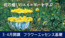 フラワーエッセンス基礎