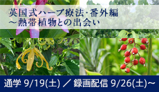 「英国式ハーブ療法」～番外編・熱帯植物との出会い