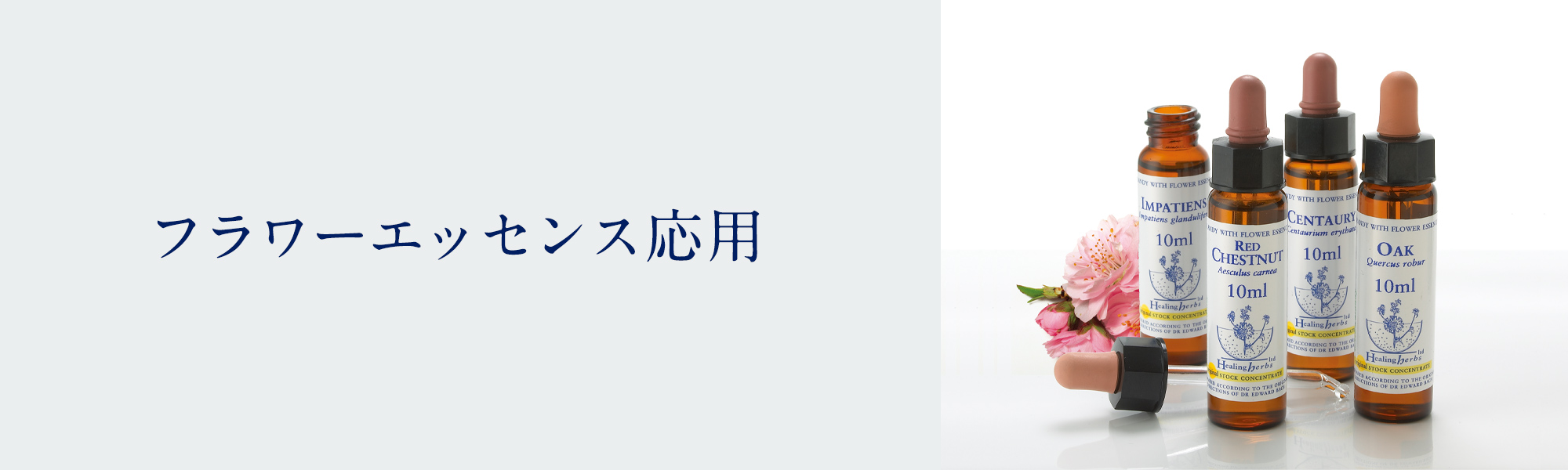 フラワーエッセンス応用